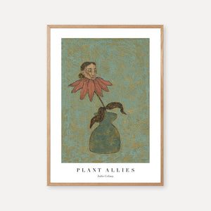 Plant Allies - print